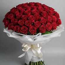 Букет 101 Красная роза Блэк Мэджик в Мяундже