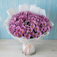 Букет цветов из:  Хризантемы #REPLACE_PRED# Мяундже