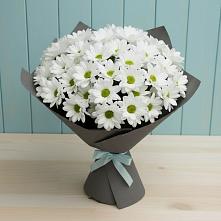 Букет цветов из:  Хризантемы #REPLACE_PRED# Мяундже