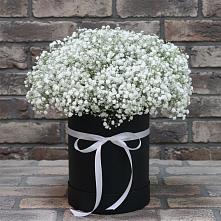 Цветочная композиция из Гипсофила в шляпной коробке #REPLACE_PRED# Мяундже